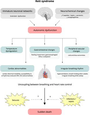 Cardiac autonomic control in Rett syndrome: Insights from heart rate variability analysis